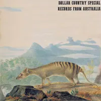 Dollar Country artwork