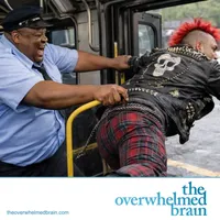The Overwhelmed Brain artwork