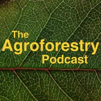 The Agroforestry Podcast artwork