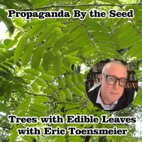 Propaganda By The Seed artwork