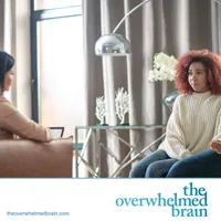 The Overwhelmed Brain artwork