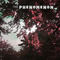 The Phenomenon artwork