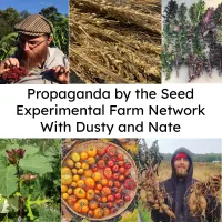 Propaganda By The Seed artwork