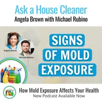 Ask a House Cleaner artwork