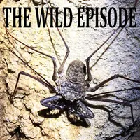 The Wild Episode artwork