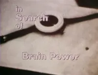 In Research Of artwork