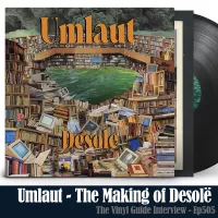 The Vinyl Guide - Artist Interviews for Record Collectors and Music Nerds artwork
