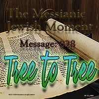 The Messianic Jewish Moment artwork