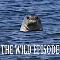 The Wild Episode artwork