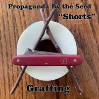 Propaganda By The Seed artwork