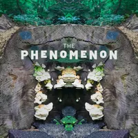 The Phenomenon artwork