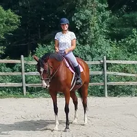 Stall and Stable: Ideas for Happy Horsekeeping artwork