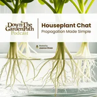 Down The Garden Path Podcast artwork
