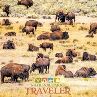 National Parks Traveler Podcast artwork