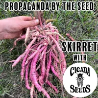 Propaganda By The Seed artwork