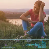 The Overwhelmed Brain artwork