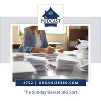 Organize 365 Podcast artwork