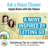 Ask a House Cleaner artwork