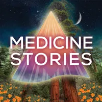 Medicine Stories artwork