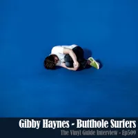 The Vinyl Guide - Artist Interviews for Record Collectors and Music Nerds artwork