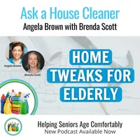 Ask a House Cleaner artwork