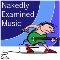 The Partially Examined Life Philosophy Podcast artwork