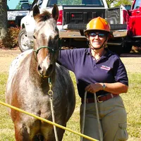 Stall and Stable: Ideas for Happy Horsekeeping artwork