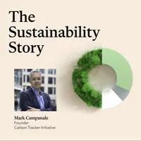 The Sustainability Story artwork