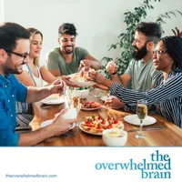 The Overwhelmed Brain artwork