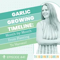 The Beginner's Garden with Jill McSheehy artwork