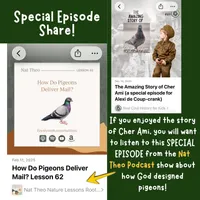 Real Cool History for Kids artwork