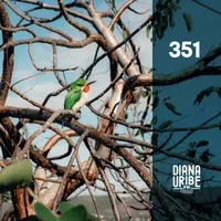 DianaUribe.fm artwork