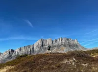 Trail Runner Nation artwork