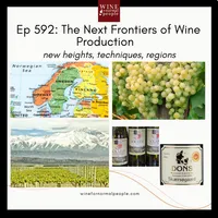 Wine for Normal People artwork