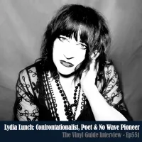 The Vinyl Guide - Artist Interviews for Record Collectors and Music Nerds artwork