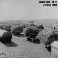 Dollar Country artwork