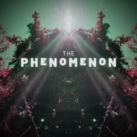 The Phenomenon artwork