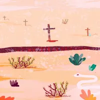 Las Raras artwork