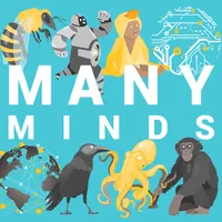 Many Minds artwork