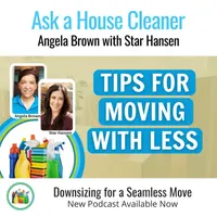 Ask a House Cleaner artwork