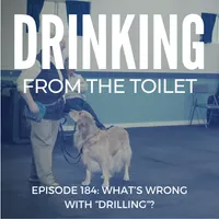 Drinking From the Toilet: Real dogs, Real training artwork