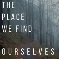 The Place We Find Ourselves artwork