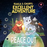 Peace Out Podcast artwork