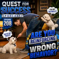 Quest for Success artwork