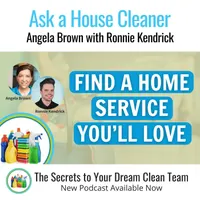 Ask a House Cleaner artwork