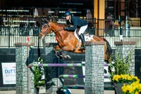 Stall and Stable: Ideas for Happy Horsekeeping artwork