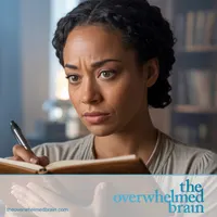 The Overwhelmed Brain artwork