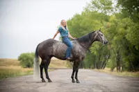 Stall and Stable: Ideas for Happy Horsekeeping artwork