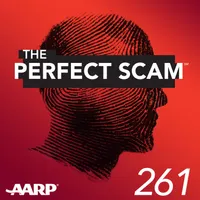 The Perfect Scam artwork