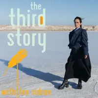 The Third Story with Leo Sidran artwork